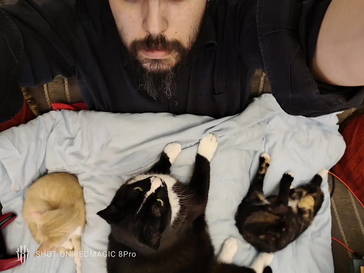 A man with a beard lies on a bed, looking down at three cats: one orange curled up, one black-and-white looking up at him…