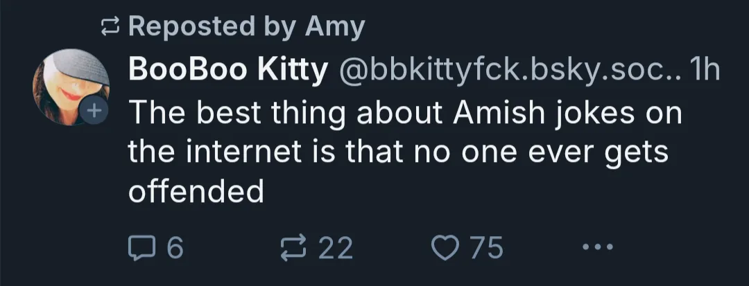 A screenshot of a reposted social media post from 'BooBoo Kitty' on a platform resembling Bluesky, showing the text 'The…