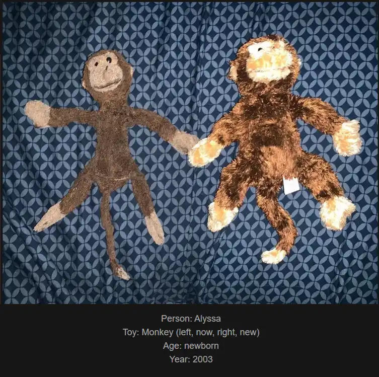 Two stuffed monkeys lie side by side on a blue patterned fabric. The monkey on the left is a plain brown plush toy, while…