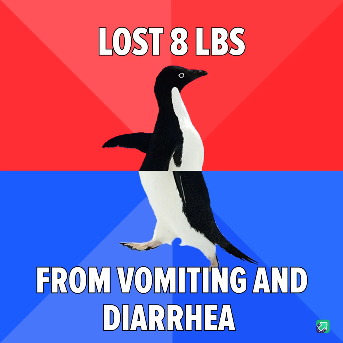 A black-and-white penguin stands centered against a red-and-blue background, with bold white text above reading 'LOST 8 LBS'…