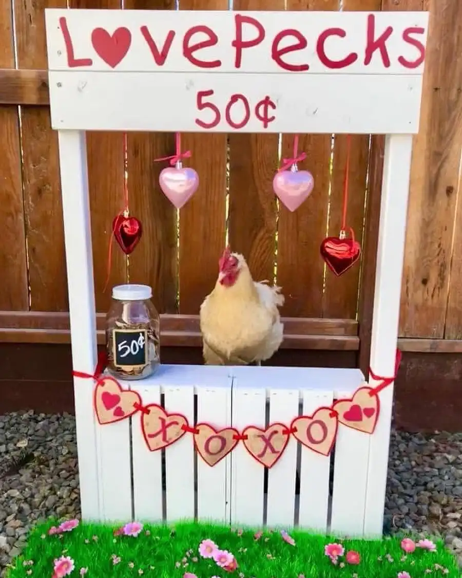 A white wooden kiosk decorated with hearts and a 'Love Pecks 50¢' sign, featuring a chicken as the vendor, a jar labeled…
