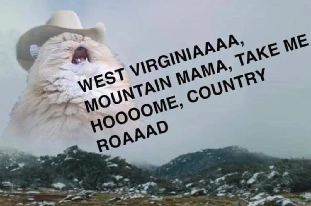 A fluffy white cat wearing a cowboy hat is shown with its mouth wide open as if singing or shouting, superimposed over a…