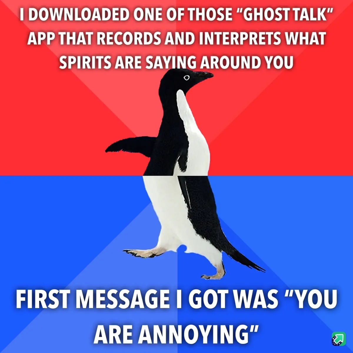 A penguin stands centered against a red and blue background, with white text overlaid. The top text reads "I downloaded one…