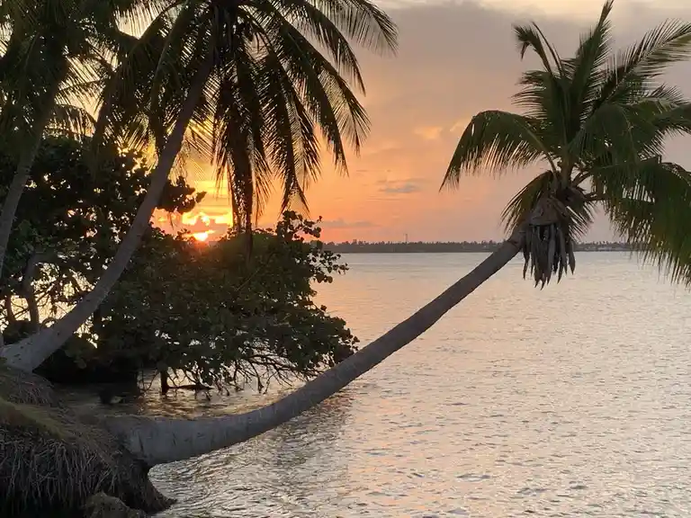 A serene tropical sunset with palm trees silhouetted against an orange sky over calm water. The text overlaid reads 'i'm not…