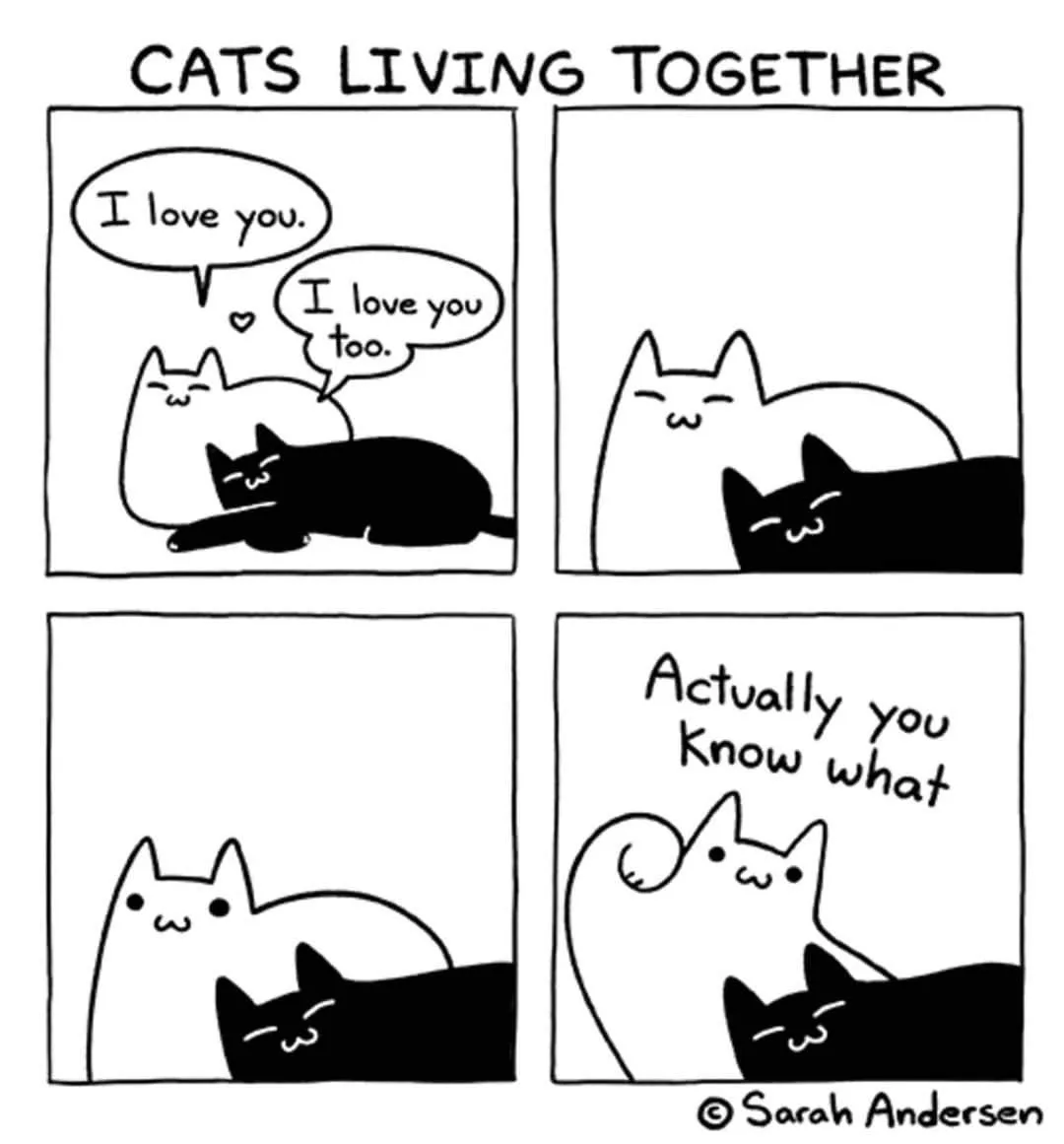 A four-panel comic strip by Sarah Andersen titled 'CATS LIVING TOGETHER' shows two cats, one white and one black, initially…