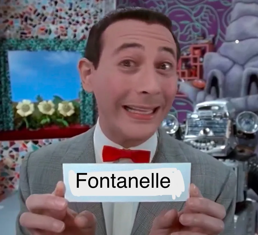 A man in a grey suit and red bowtie holds up a white card with the word 'Fontanelle' written on it. He has a wide-eyed…
