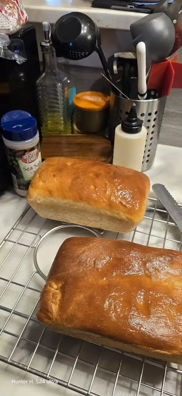 Two golden-brown loaves of bread sit on a metal cooling rack in a kitchen, surrounded by cooking utensils, a sea salt…