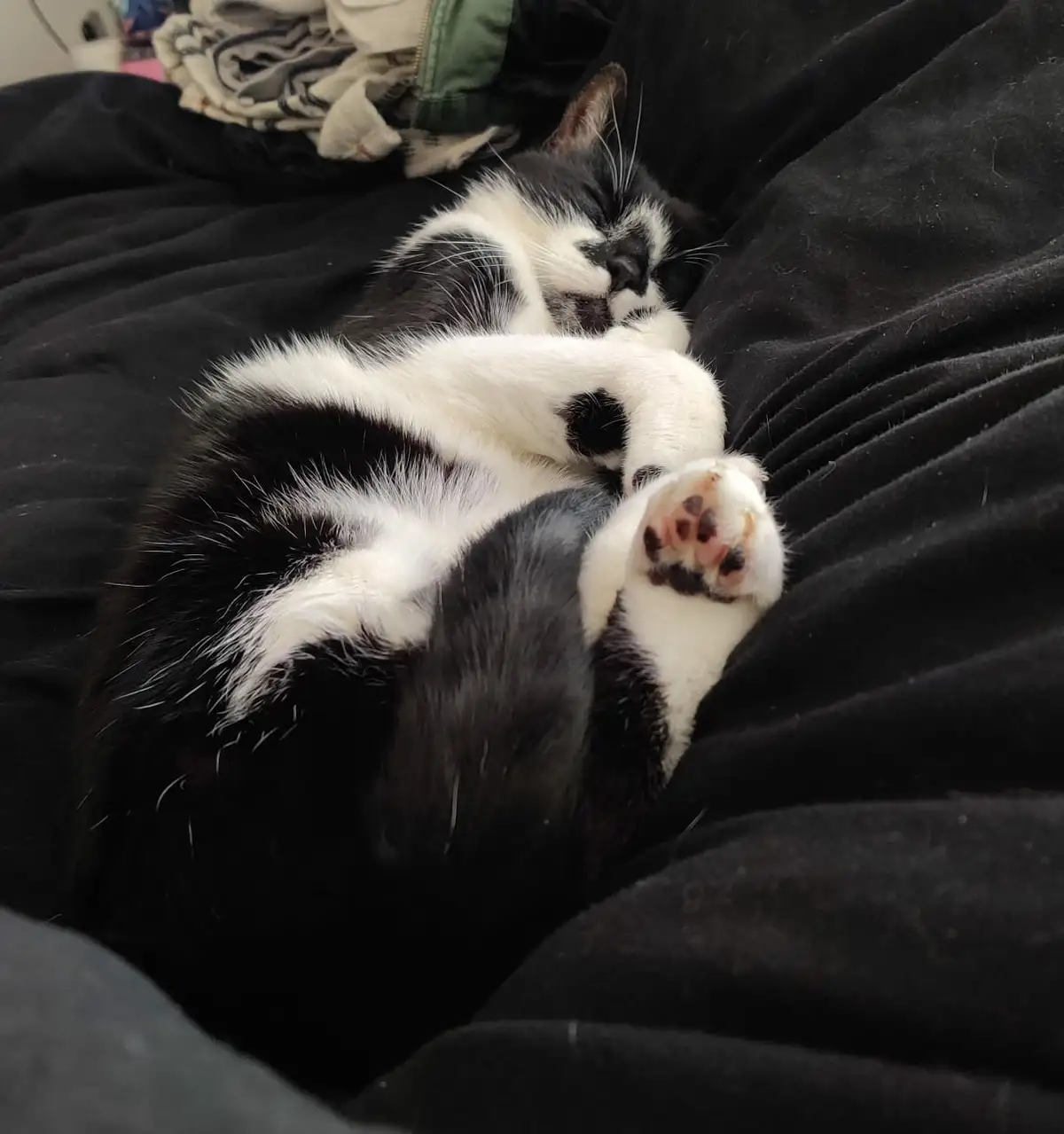 At 15, He's Still Just a Little One
