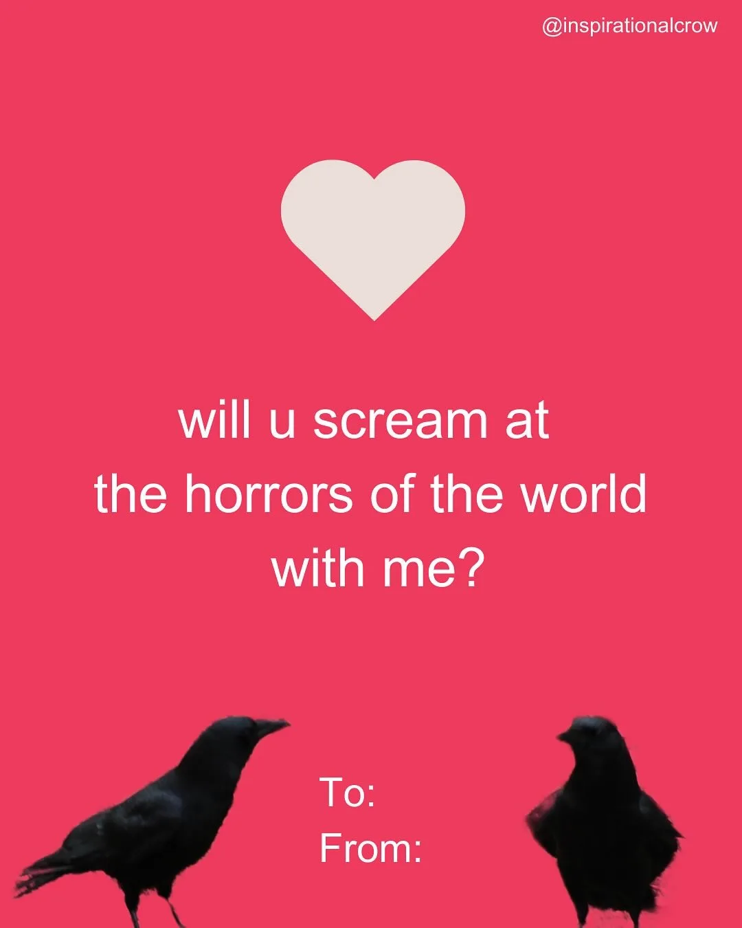 Two black crows face each other against a solid pink background, with a white heart above them and text asking 'will u…