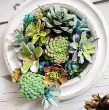 A white ceramic bowl filled with various artificial succulents and pinecones, arranged on a white wooden surface. The image…