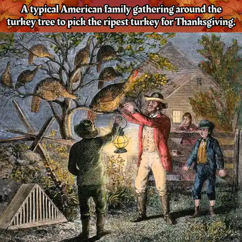 An old-fashioned illustration shows a family gathered around a tree filled with turkeys, with one man reaching for a turkey…