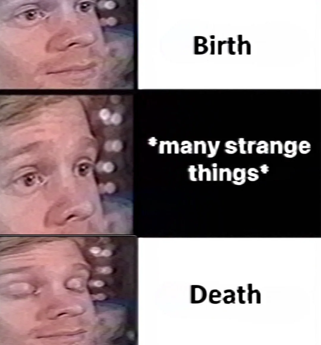 A three-panel meme featuring a man's face in each panel, showing a calm expression at 'Birth', a shocked expression at…
