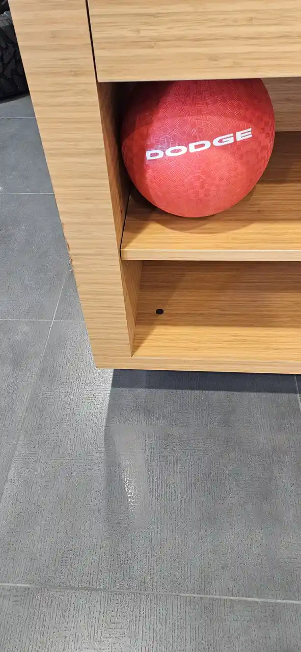 A red exercise ball with the word 'DODGE' printed in white letters sits on a wooden shelf inside a retail store. The ball…
