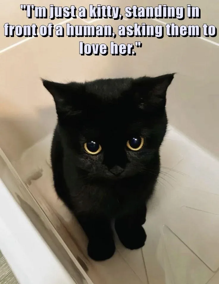 A black cat with large, expressive yellow eyes sits upright in a white bathtub, looking directly at the camera with a…