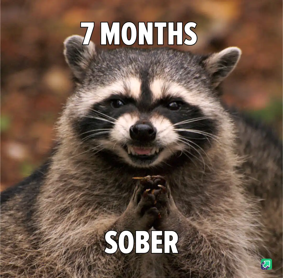 A close-up photo of a raccoon with a smug, self-satisfied expression, its paws clasped together in front of its chest. The…