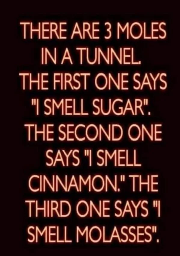 The image displays glowing orange text on a black background telling a joke about three moles in a tunnel who each smell…