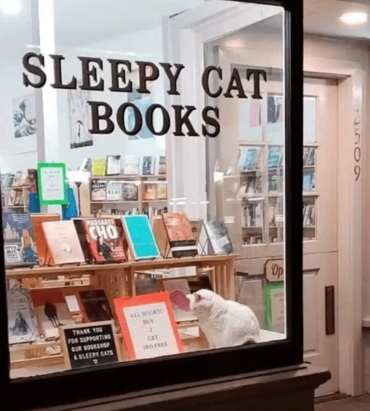 A white cat sits inside a bookstore window display, surrounded by books and promotional signs. The store's name, 'SLEEPY CAT…