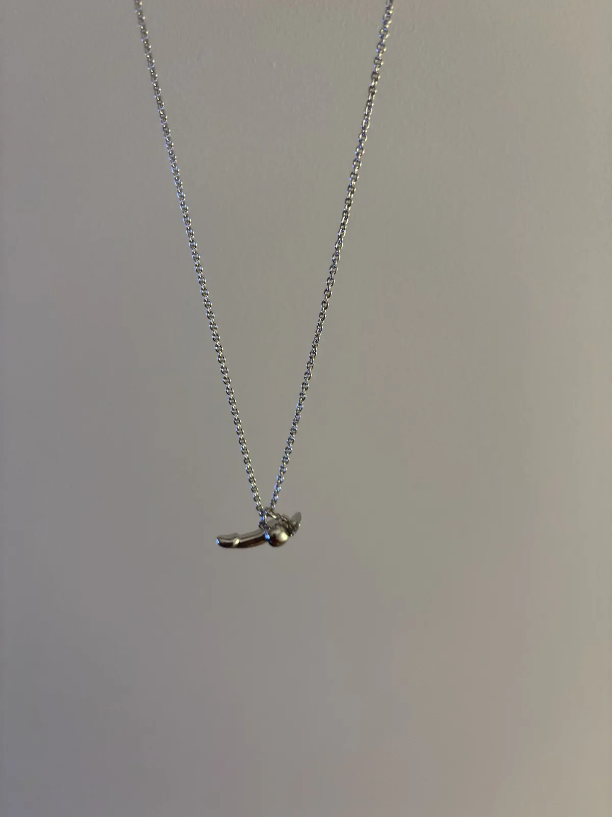 Check Out My New Necklace That Just Arrived!