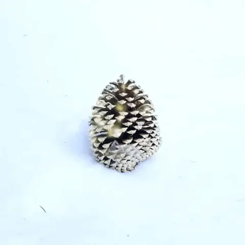A six-panel image sequence shows a pinecone found in snow, then picked up by a man in a festive sweater and hat, then placed…