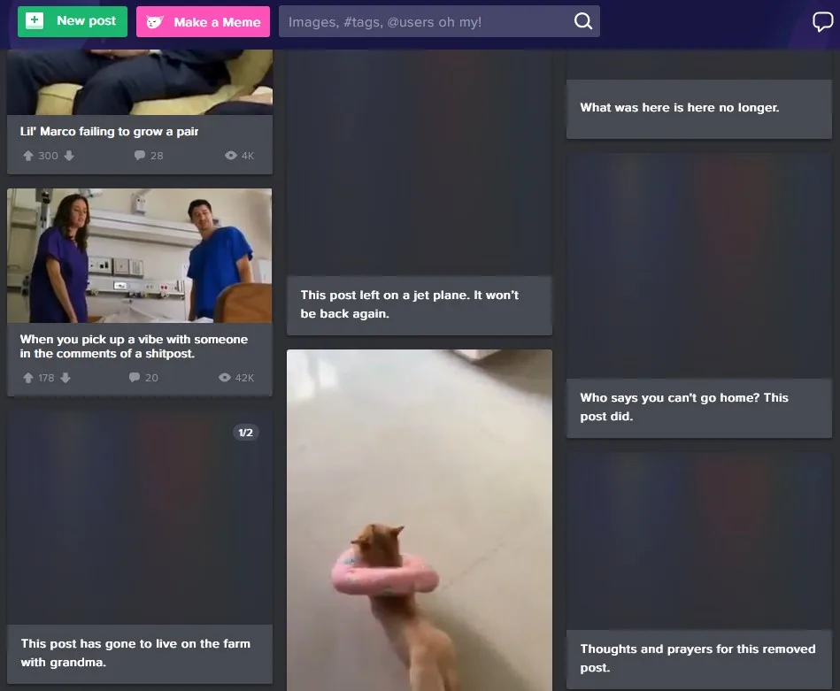 A screenshot of a social media interface shows a post featuring a small dog wearing a pink inflatable ring around its neck…