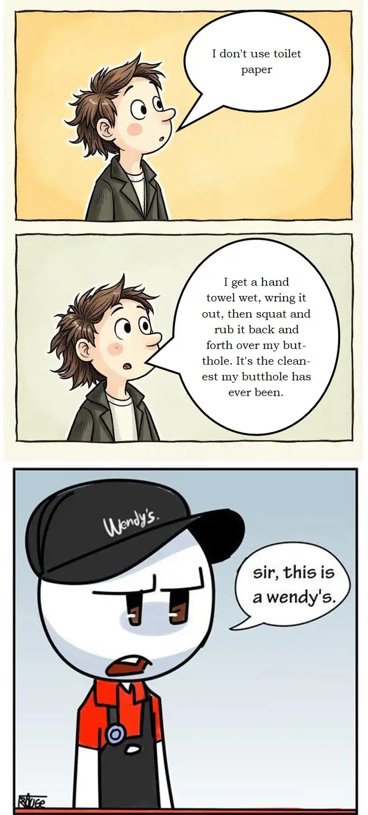 A three-panel comic strip shows a person explaining they don't use toilet paper, opting for a wet hand towel instead…