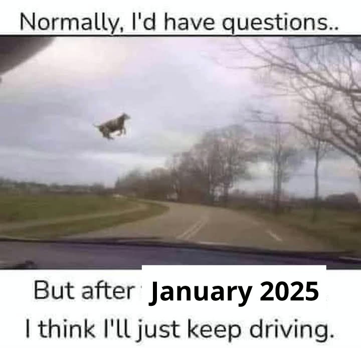 A dashcam view shows a dog mid-air, seemingly leaping or being thrown over a rural road with bare trees and overcast sky…