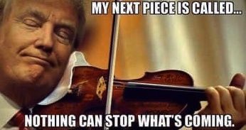 A close-up image of Donald Trump holding a violin, looking smugly at the camera. The text overlaid on the image reads 'MY…