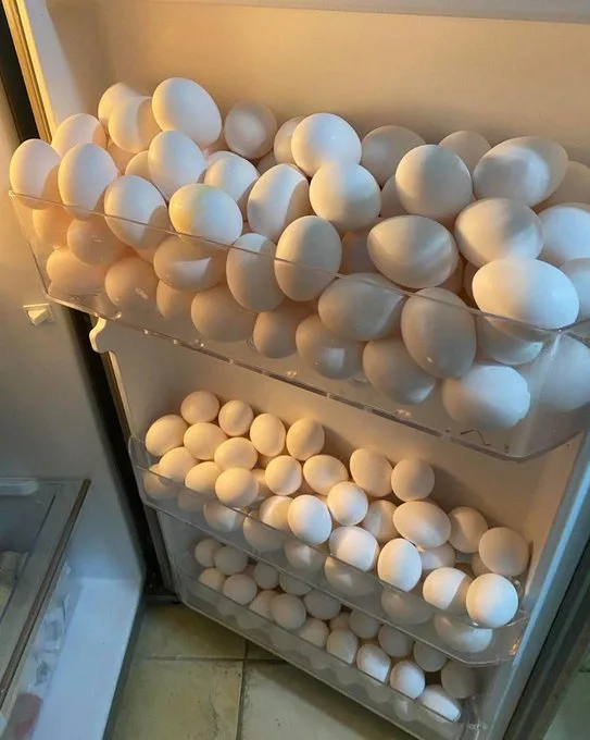 An open refrigerator door reveals three clear plastic egg trays completely filled with white eggs, stacked vertically and…