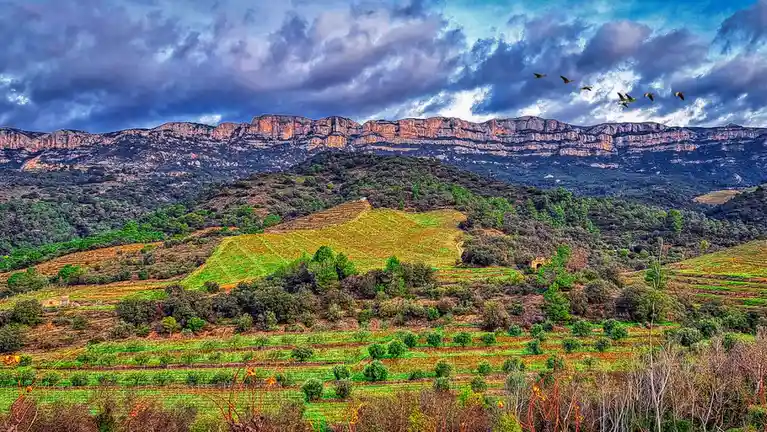 A vibrant, heavily saturated landscape photo shows rolling green hills with terraced vineyards in the foreground, leading to…