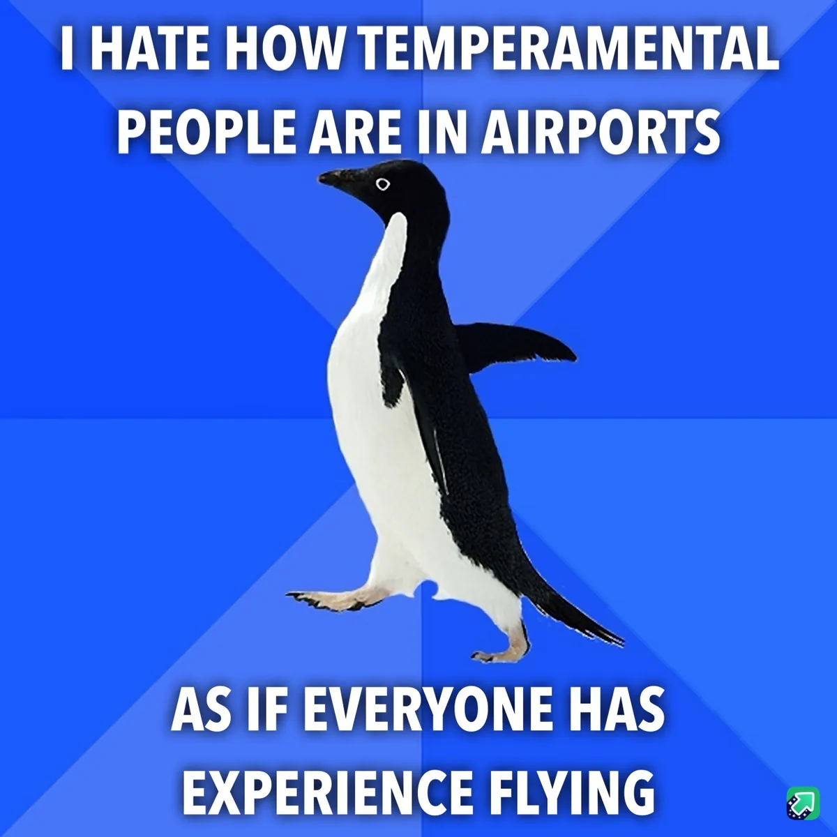 A black-and-white penguin stands against a blue geometric background, with white text overlaid that reads 'I HATE HOW…