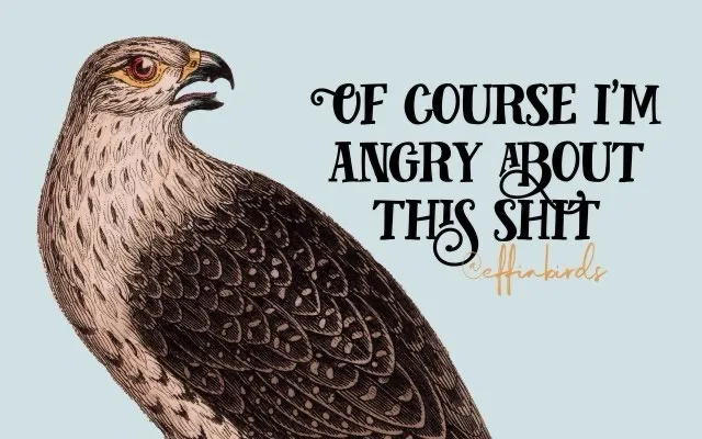 An illustration of a hawk with detailed feather patterns and a fierce expression, set against a light blue background. The…