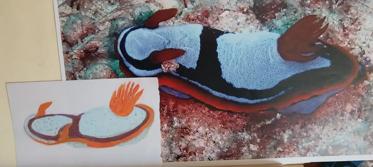 A photograph of a colorful blue, black, and orange sea slug (nudibranch) is displayed next to a child's crayon drawing of a…