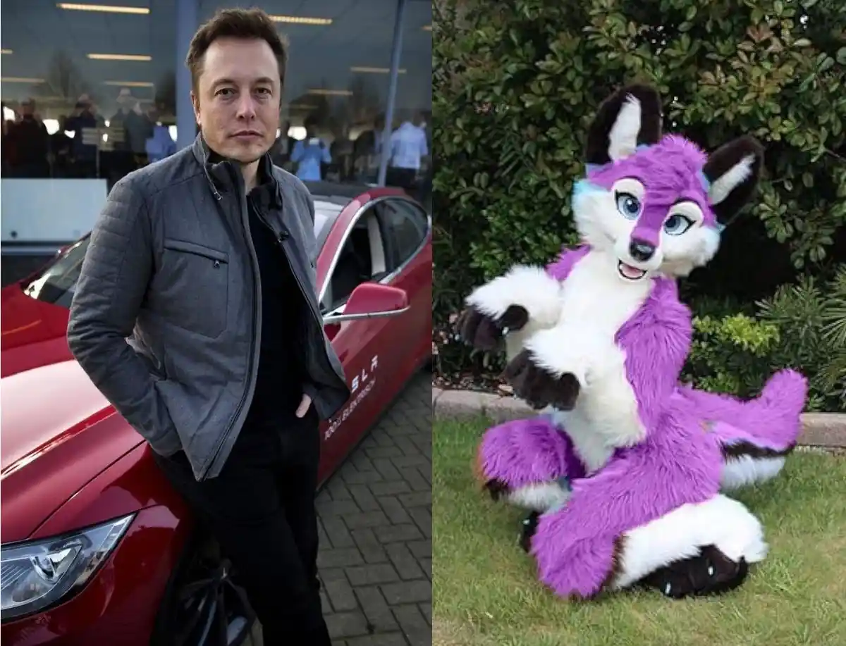 The image is a side-by-side split: on the left, Elon Musk stands next to a red Tesla car, and on the right, a person in a…