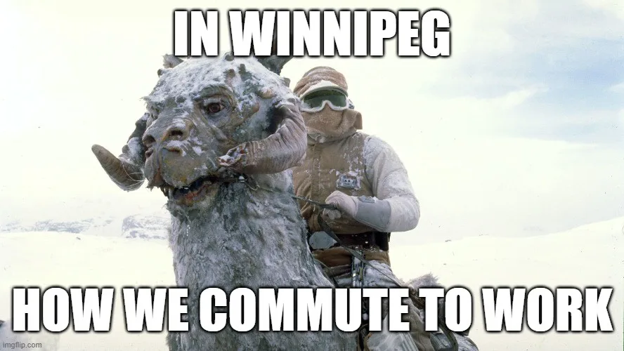 A person in heavy winter gear, including goggles and a scarf, is riding a large, shaggy, horned creature covered in snow…