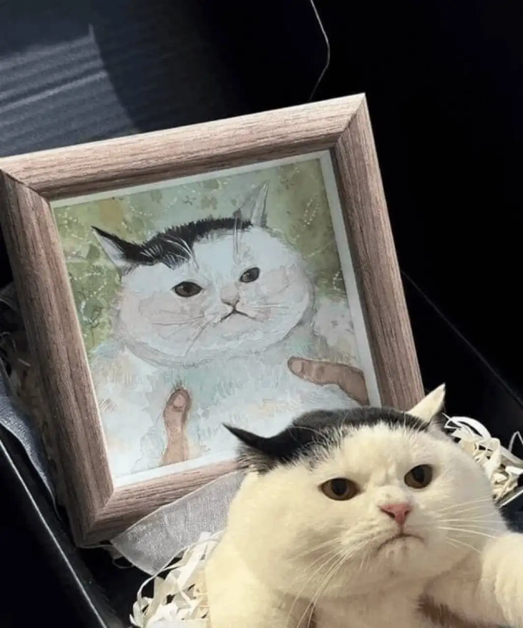 A real white and black cat with a grumpy expression sits beside a framed portrait of itself, which also depicts the same cat…