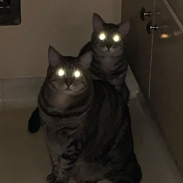 Flirting with You: Those Eyes Say It All!