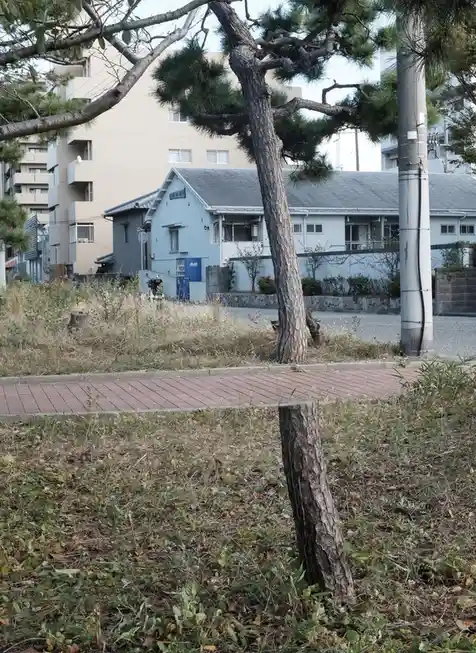 a photograph of an urban scene with a prominent tree stump in the foreground, surrounded by overgrown grass and weeds…