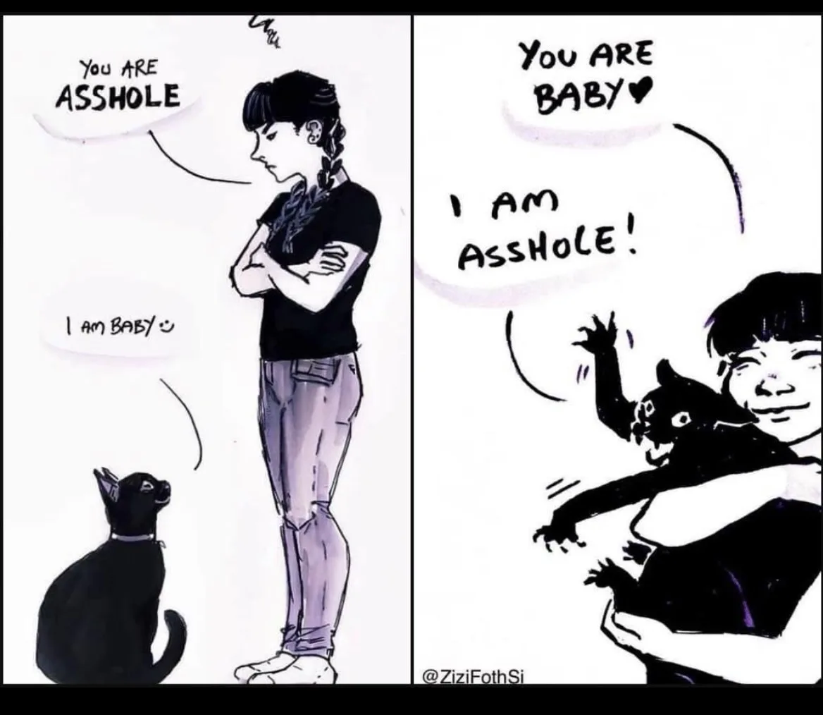 A two-panel comic shows a person standing with arms crossed, scolding a black cat that says 'I am baby'. In the second…