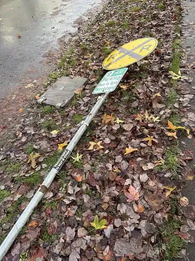 A fallen street sign pole lies on a grassy verge covered in autumn leaves, with a yellow railroad crossing sign and a green…