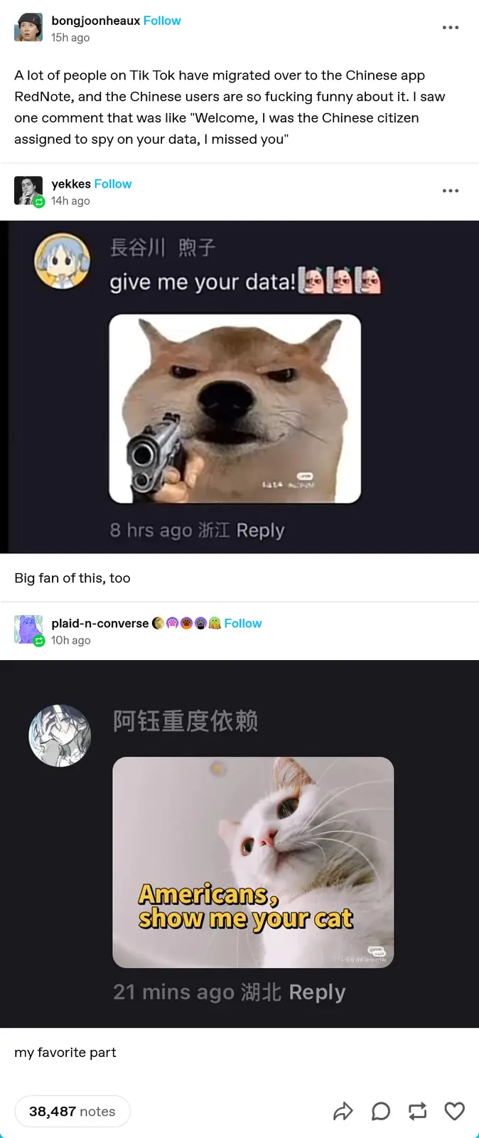 A screenshot of a social media thread shows a user reacting to a comment from a Chinese RedNote app user who posted a 'Doge'…
