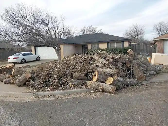 A large pile of freshly cut tree logs and branches sits on a residential sidewalk in front of a single-story house with a…
