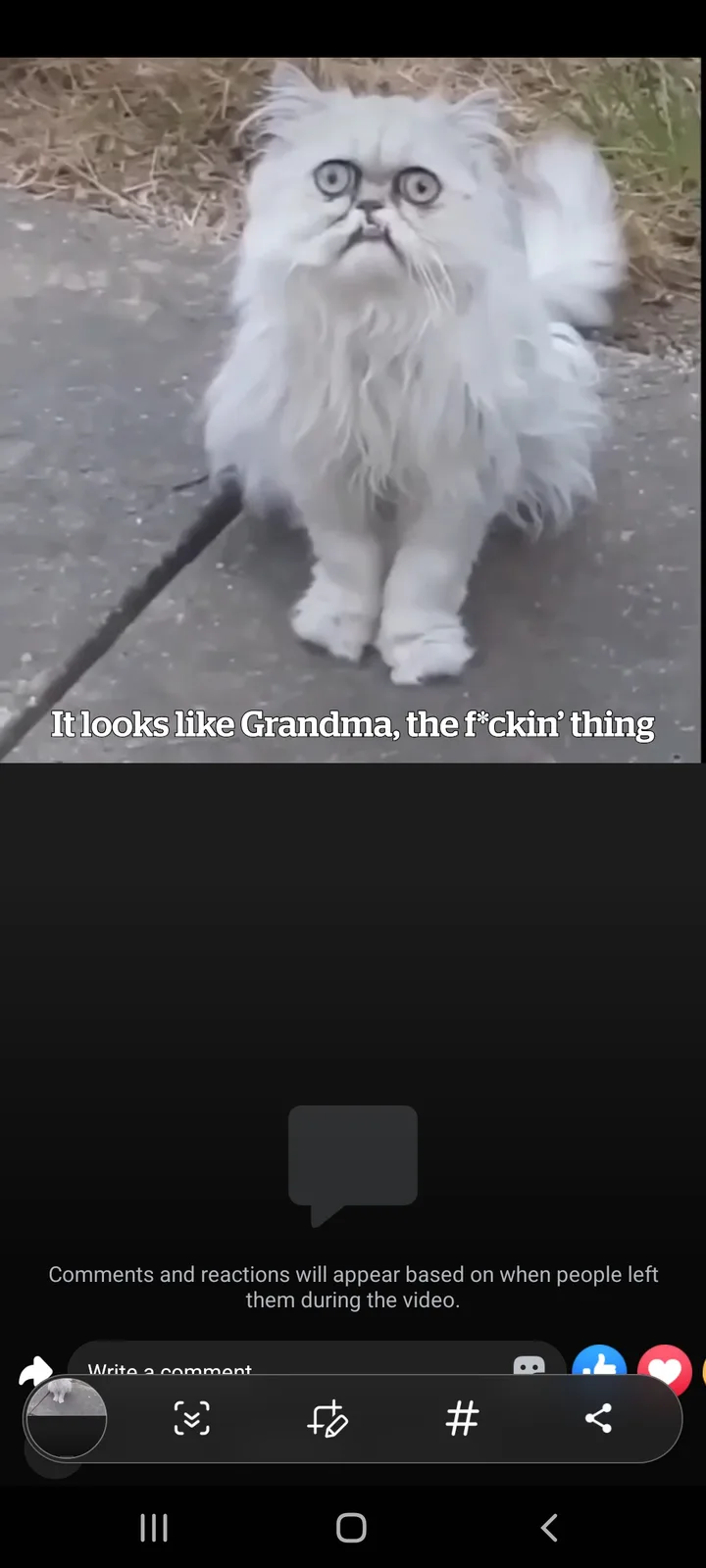 Caturday's Spookiest Find: The Creepiest Cat Meme!