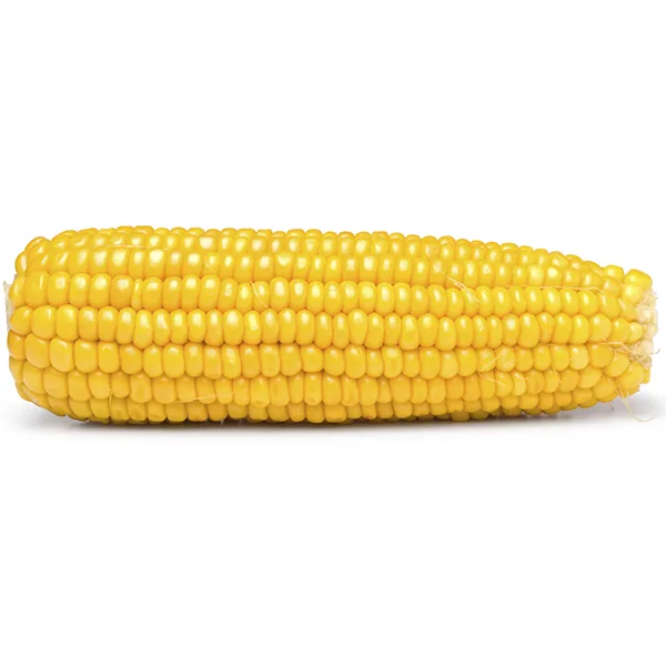 A single, intact ear of yellow corn on the cob is shown horizontally against a plain white background. The image has no…