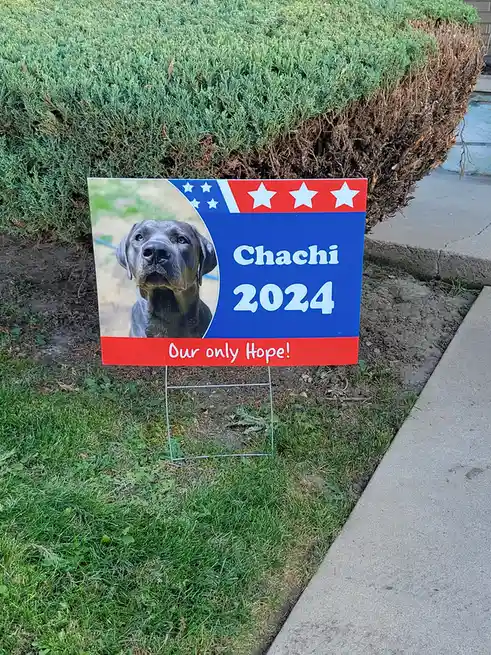 This One Definitely Has My Support!