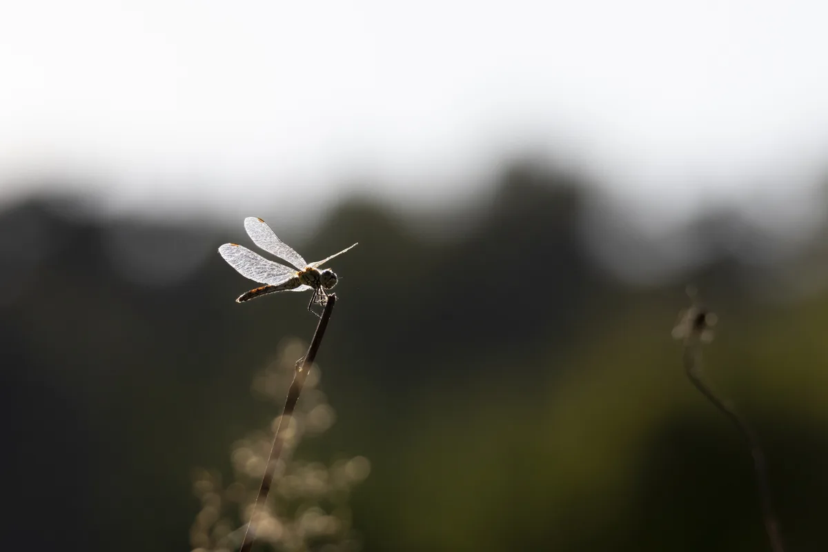 Capturing Nature's Beauty: Day One of Our Photo Journey