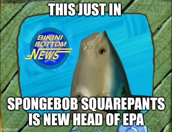A still image of a fish from the animated series SpongeBob SquarePants, shown in a news broadcast graphic. The fish is…