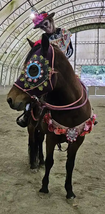 A person wearing a colorful Day of the Dead sugar skull mask and floral hat sits atop a brown horse inside an indoor arena…