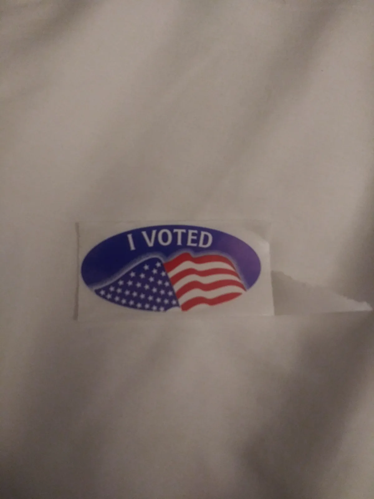 A close-up photo shows a standard American 'I VOTED' sticker, featuring the text 'I VOTED' in white letters on a blue oval…