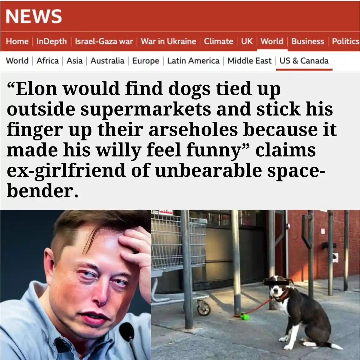 The image displays a fake news article layout with a headline about Elon Musk's alleged bizarre behavior involving dogs…