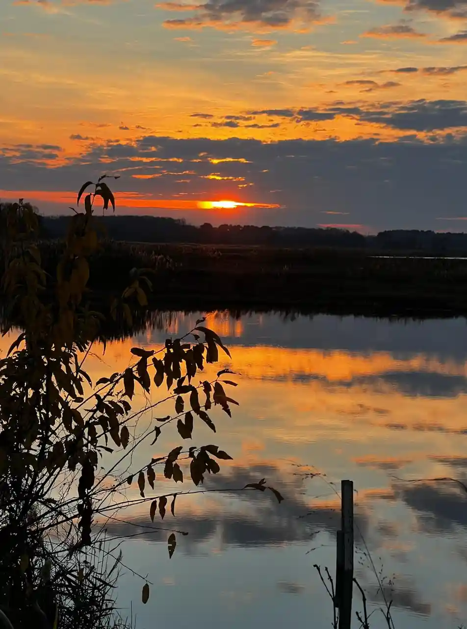 A serene sunset over a calm body of water, with orange and yellow clouds reflected in the surface. Silhouetted branches with…